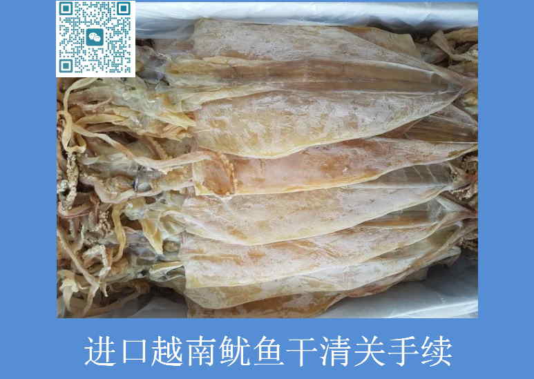 進(jìn)口越南魷魚(yú)干清關(guān)手續(xù).jpg